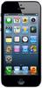 Смартфон Apple iPhone 5 16Gb Black & Slate - Ялуторовск